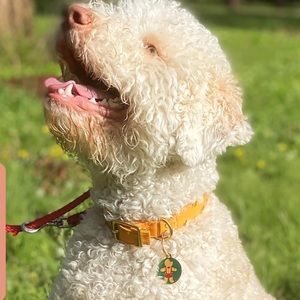 NIB ~ ERSTWILDER PET CHARMS “A BITE BEFORE CHRISTMAS” 🎄 2021